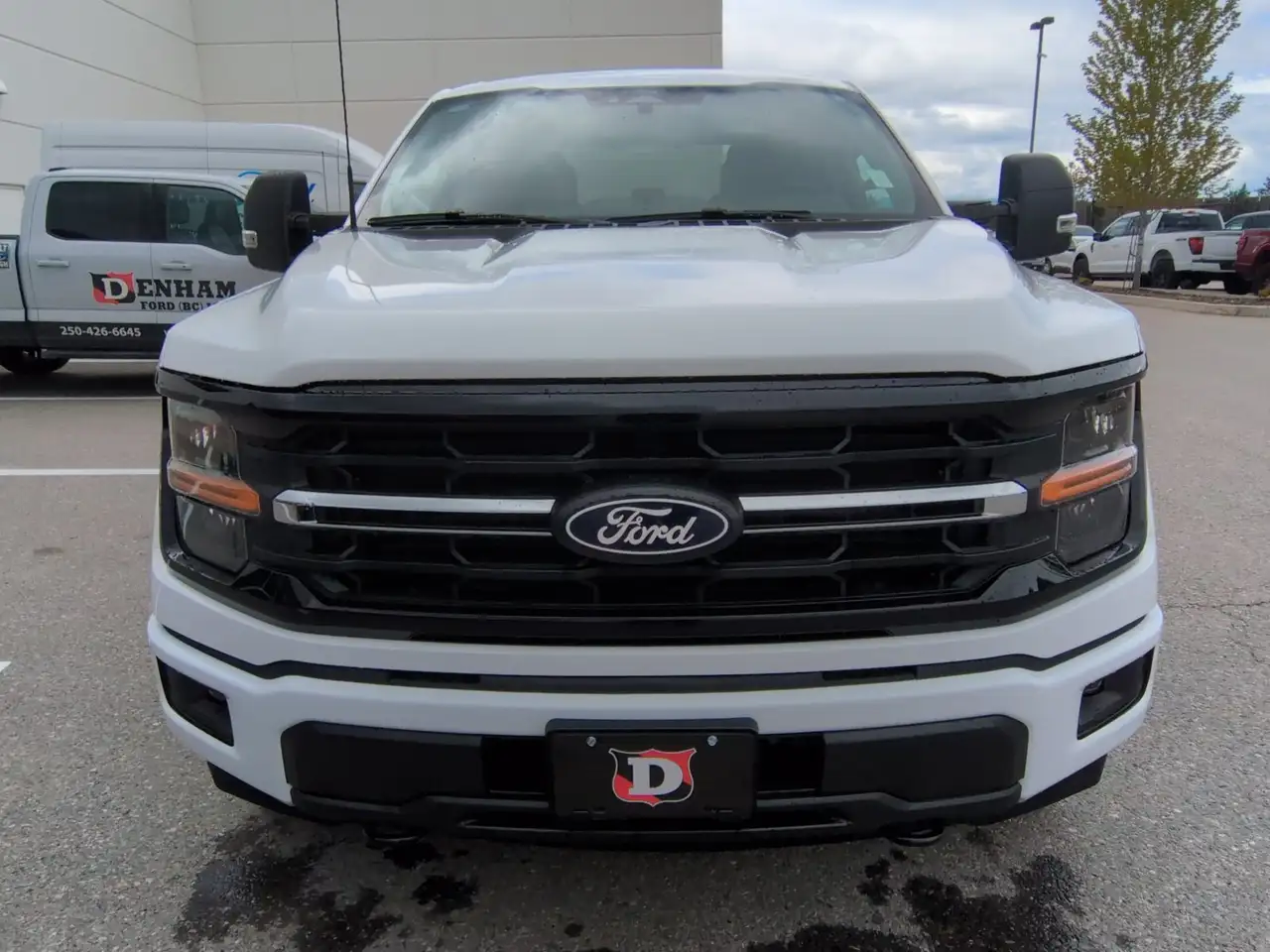 Ford F 150 снимка Ford F 150