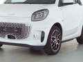 smart forTwo EQ cabrio prime EXCLUSIVE:THE WHITE STAR! White - thumbnail 3