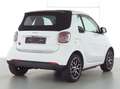 smart forTwo EQ cabrio prime EXCLUSIVE:THE WHITE STAR! White - thumbnail 2