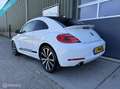Volkswagen Beetle 2.0 TSI DSG Sport|Leder|Clima|Bleutooth| Blanc - thumbnail 4