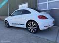 Volkswagen Beetle 2.0 TSI DSG Sport|Leder|Clima|Bleutooth| Blanc - thumbnail 3