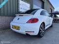 Volkswagen Beetle 2.0 TSI DSG Sport|Leder|Clima|Bleutooth| Blanc - thumbnail 5