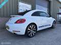 Volkswagen Beetle 2.0 TSI DSG Sport|Leder|Clima|Bleutooth| Blanc - thumbnail 6