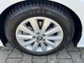 SEAT Ibiza Xcellence 1,0 TSI DSG FullLink LED Scheckh Weiß - thumbnail 6