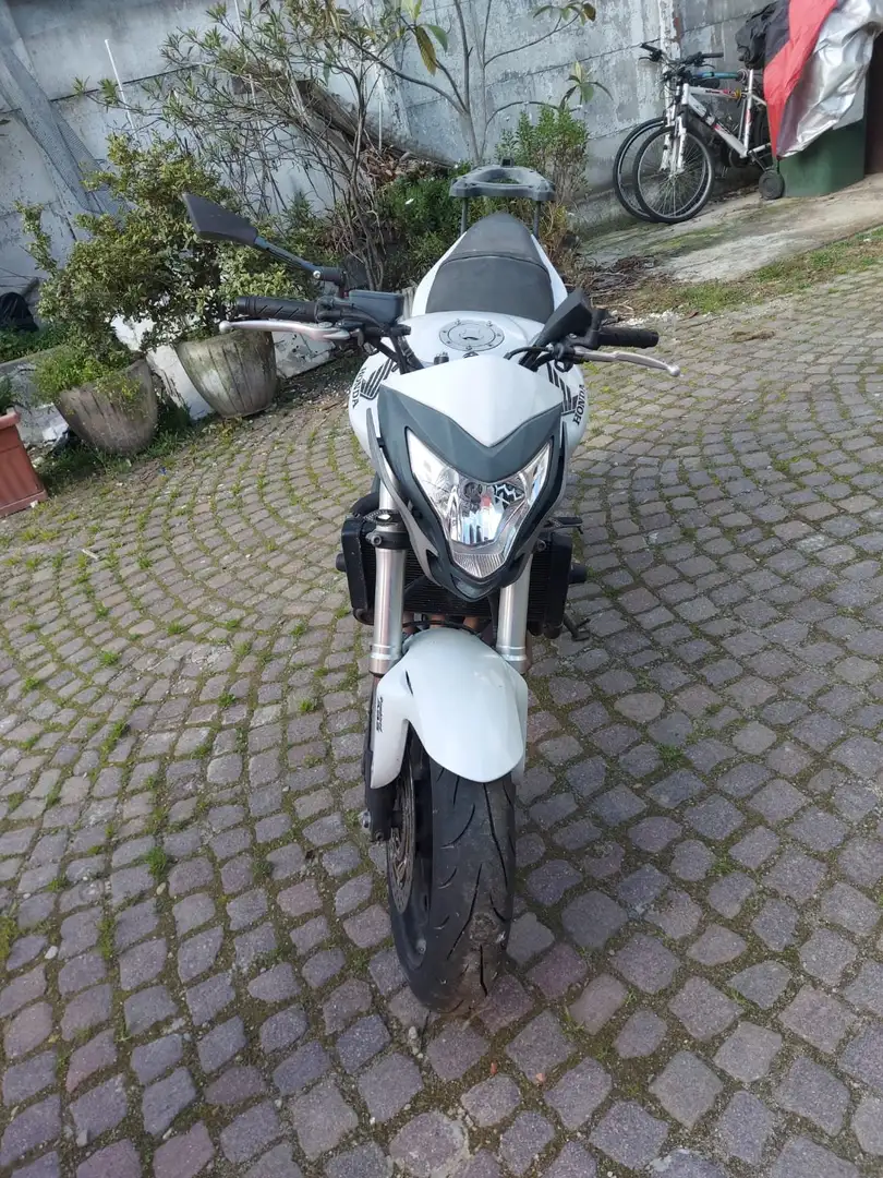 Honda Hornet ABS Bianco - 1