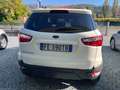 Ford EcoSport EcoSport 2014 1.5 tdci Business 95cv E6 Blanco - thumbnail 6