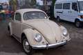 Volkswagen Käfer BREZELKÄFER Grau - thumbnail 3