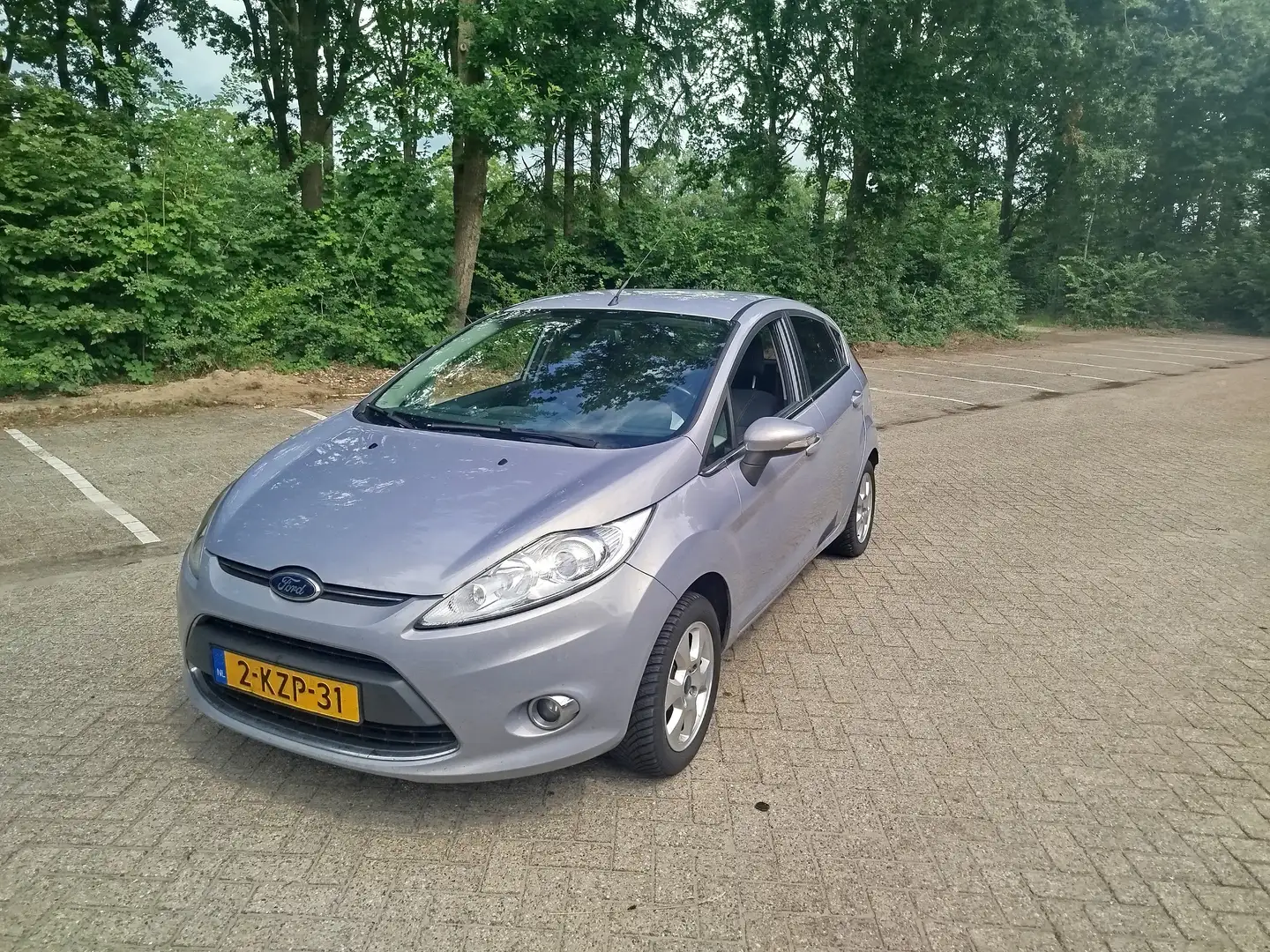 Ford Fiesta Grijs - 2