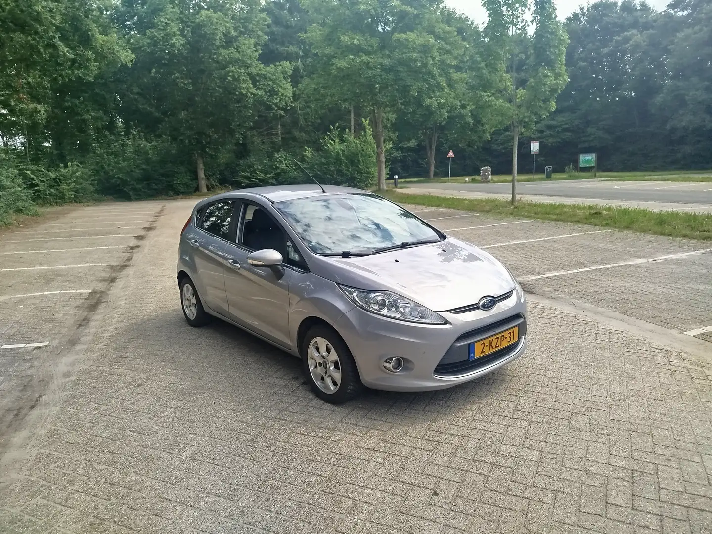 Ford Fiesta Grijs - 1