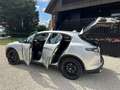 Alfa Romeo Stelvio Stelvio 2.0  * 79.549 KM !! * Argent - thumbnail 9