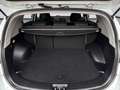 Kia Sportage 2.0 CRDi AWD 4x4 RKam PTS Weiß - thumbnail 19