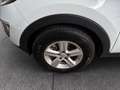 Kia Sportage 2.0 CRDi AWD 4x4 RKam PTS Weiß - thumbnail 21