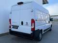 Fiat Ducato 35 L2 H2 *R-KAM*NAVI*PDC*MFL*KLIMAA.*TEMP Weiß - thumbnail 8