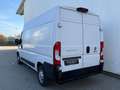 Fiat Ducato 35 L2 H2 *R-KAM*NAVI*PDC*MFL*KLIMAA.*TEMP Weiß - thumbnail 3