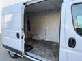 Fiat Ducato 35 L2 H2 *R-KAM*NAVI*PDC*MFL*KLIMAA.*TEMP Weiß - thumbnail 11