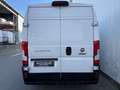 Fiat Ducato 35 L2 H2 *R-KAM*NAVI*PDC*MFL*KLIMAA.*TEMP Weiß - thumbnail 4