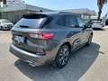 Ford Kuga Kuga 1.5 ecoblue ST-Line 2wd 120cv Grigio - thumbnail 5