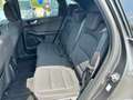 Ford Kuga Kuga 1.5 ecoblue ST-Line 2wd 120cv Grigio - thumbnail 12