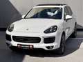 Porsche Cayenne II S PHEV Hybrid Platinum Edition "Approved-Garan Bianco - thumbnail 1