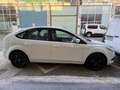 Ford Focus 1.6TDCi Trend Wit - thumbnail 1