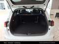 Kia Ceed SW / cee'd SW CEEDSW/SILBER/UVO/1.0 TGDI/MT6/100 Weiß - thumbnail 13