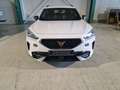 CUPRA Formentor VZ 4Drive Bianco - thumbnail 1