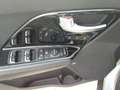 Kia Niro 1.6 GDI 2WD Spirit Plug-in Hybrid Grau - thumbnail 13