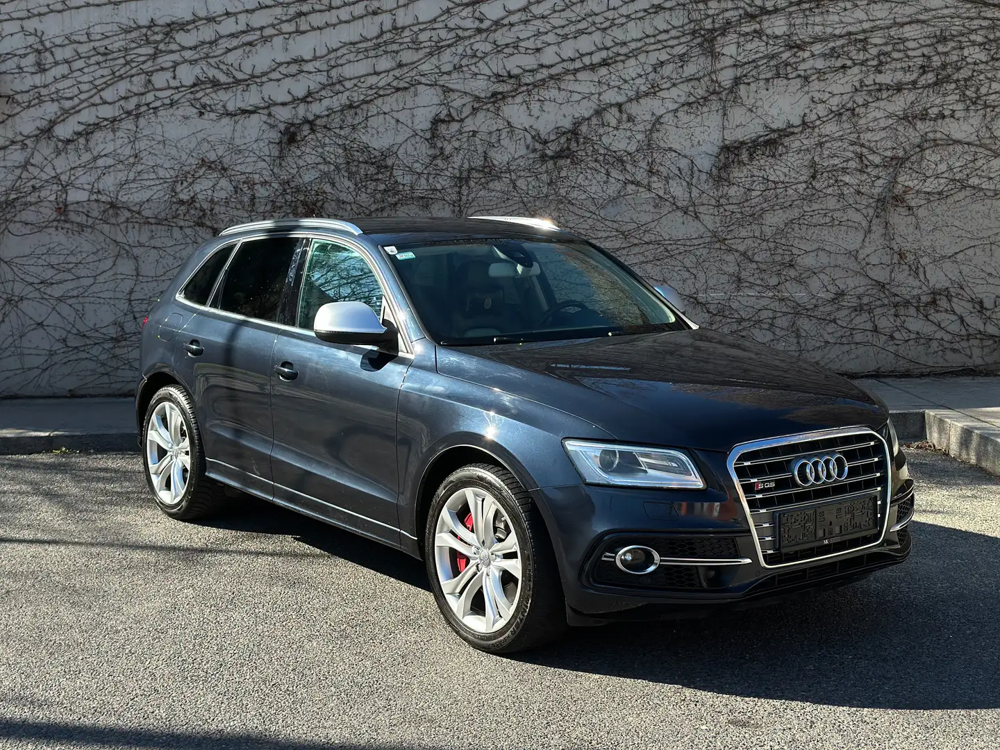 Audi SQ5 3.0 TDI quattro S-Tronic *SZH* *ACC* *AHK* .. Blauw - 2