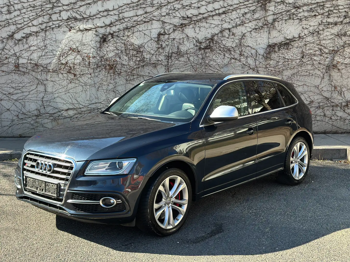 Audi SQ5 3.0 TDI quattro S-Tronic *SZH* *ACC* *AHK* .. Blauw - 1