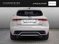 Jaguar E-Pace P300e R-Dynamic SE AD Navi Leder Digitales Cockpit Grau - thumbnail 4
