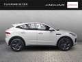 Jaguar E-Pace P300e R-Dynamic SE AD Navi Leder Digitales Cockpit Grau - thumbnail 3