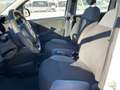 Fiat Panda 1.3 MJT S&S Easy Van 4 posti Bianco - thumbnail 8