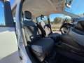 Fiat Panda 1.3 MJT S&S Easy Van 4 posti Bianco - thumbnail 12