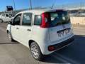 Fiat Panda 1.3 MJT S&S Easy Van 4 posti Bianco - thumbnail 6