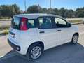 Fiat Panda 1.3 MJT S&S Easy Van 4 posti Bianco - thumbnail 5
