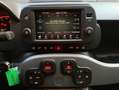 Fiat Panda 1.0 GSE Hybrid City Plus + Tech Plus Paket Schwarz - thumbnail 16