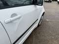 Suzuki Swift Snow (5-trg.) Weiß - thumbnail 9