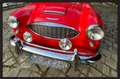 Austin-Healey 3000 MK1 3000 Rot - thumbnail 4