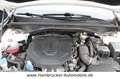 Kia Sorento Spirit 4WD~1.Hand~Leder~Acc~Kamera~Shg Weiß - thumbnail 6