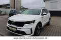 Kia Sorento Spirit 4WD~1.Hand~Leder~Acc~Kamera~Shg Weiß - thumbnail 2