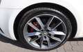 Skoda Octavia Octavia Wagon RS 4x4 DSG Bianco - thumbnail 15
