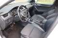 Skoda Octavia Octavia Wagon RS 4x4 DSG Bianco - thumbnail 8
