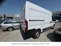 Fiat Ducato Hochr.-Kasten 35 140 L2H2 RS: 3450 mm - thumbnail 4