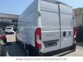 Fiat Ducato Hochr.-Kasten 35 140 L2H2 RS: 3450 mm - thumbnail 3