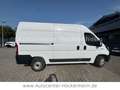 Fiat Ducato Hochr.-Kasten 35 140 L2H2 RS: 3450 mm - thumbnail 6