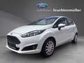 Ford Fiesta Easy 1,25 Weiß - thumbnail 1