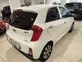 Kia Picanto 1.0 12V 5p. Stop&Go Techno Glam Bianco - thumbnail 3