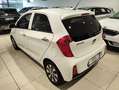 Kia Picanto 1.0 12V 5p. Stop&Go Techno Glam Bianco - thumbnail 4