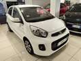 Kia Picanto 1.0 12V 5p. Stop&Go Techno Glam Bianco - thumbnail 1