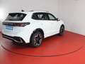 Volkswagen Tiguan R-Line 1.5eTSI DSG 389,-ohne Anzahlung Kamera Weiß - thumbnail 23